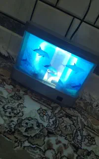 چراغ خواب