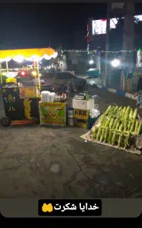 دستگاه بلال تنوری همراه سرخ کن