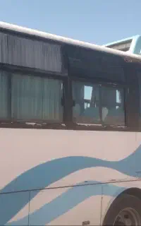 میدل باس