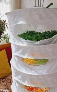 جای میوه و سبزی خشک کن
