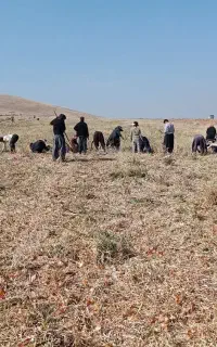 سرکارگر امورات کشاورزی.... آقای مرادی