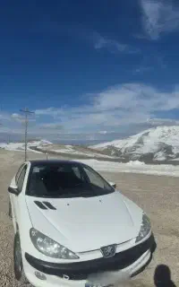 ۲۰۶پانامدل ۴۰۱ بی رنگ