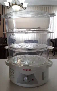 بخار پز