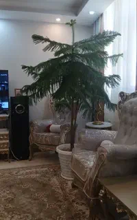 گل وگیاه