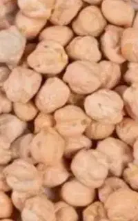 نخود اعلا