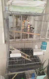 قفس بزرگ و کوچک مرغ عش