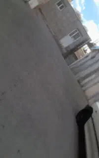 نیازمند یک نفرشاگردکارگر کاشی کار