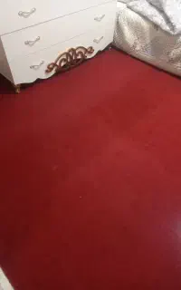 موکت سالم