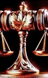 وکیل پایه یک دادگستری و مشاور حقوقی