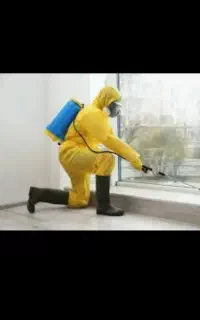 سمپاشی نوین رامسرحومه ساس سوسک مارمولک و...