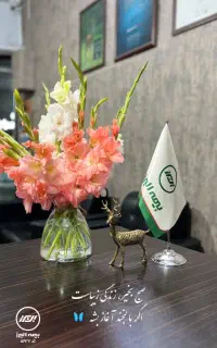 بیمه ثالث اقساطی با بخشودگی جرائم دیرکرد