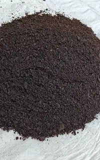 کمپوست جنگلی (هوموس گیاهی)