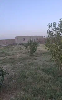 درخواست کارگر دامداری