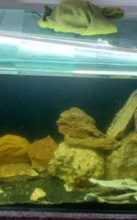 اکواریوم دوره خم