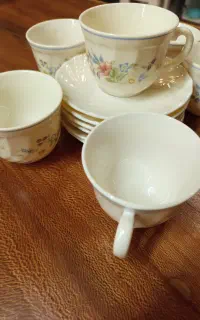 فنجان ارکوپال