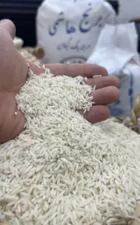 برنج ایرانی خالص هاشمی