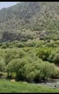 تور ماهیگیری خرم آباد کاکا رضا