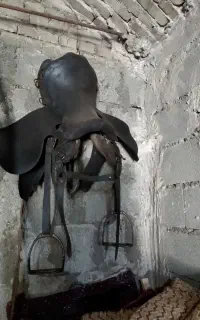 زین اسب