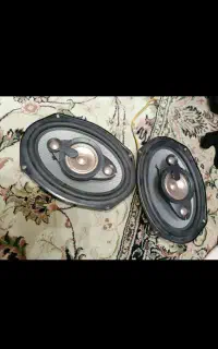باند سابوی حرفه ای