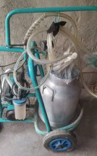 شیردوش گاو