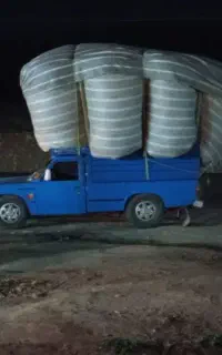 کاه
