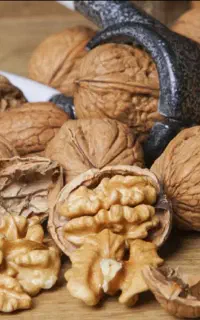 فروش گردو