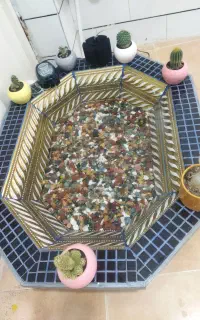 حوضچه با دستگاه اکسیژن برا ماهی آکواریوم