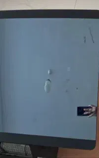 هود