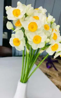 گل نرگس مصنوعی  تعداد بالا
