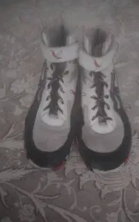 کفش کشتی