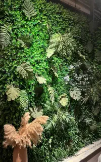 دیوار سبز آماده