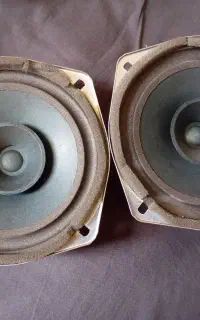 باند فابریکی ساینا اس