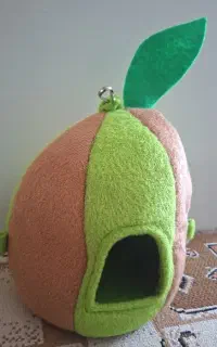 لانه پرنده