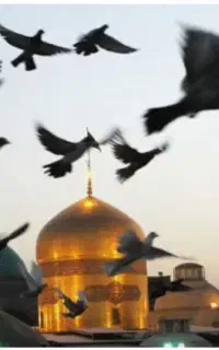 زیارت مقرون به صرفه ی مشهد ( کاملا اقتصادی)