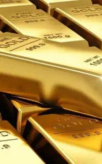 یک قطعه طلا پیدا شده