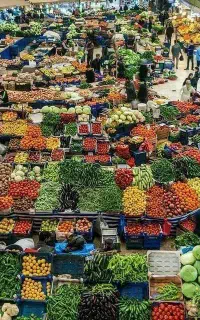 پیج روبیکا میدان برزرگ تره بار ارومیه