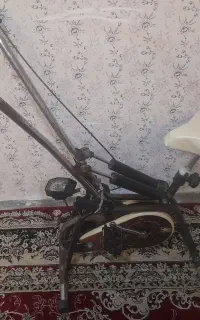 دوچرخه ثابت