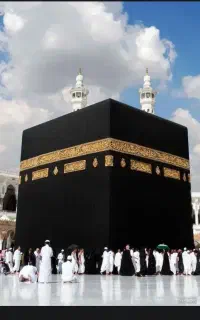 فیش حج واجب