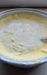 شیر گاو جرسی