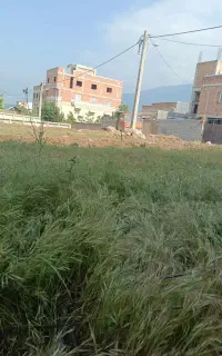 فروش زمین ۲۷۵ متری (شهرک فرهنگیان)