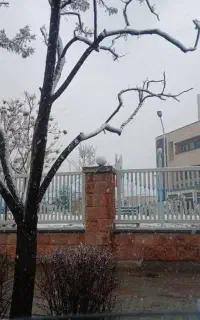 وسیله مغازه بفروش می‌رسد
