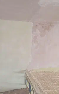نقاشی و پتینه کاری ساختمان  بصورت کلی و جزئی