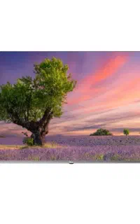 تلویزیون جی پلاس