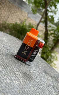 پاد وزول