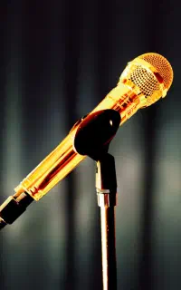 اجرای زنده خواننده برای مراسم