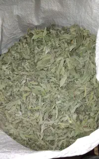 پونه کوهی تر و تمیز