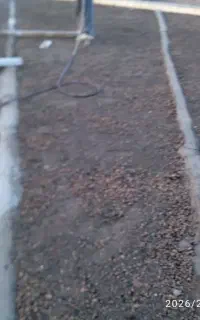 استا بنا ماهر