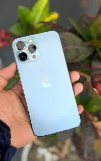 13 pro max