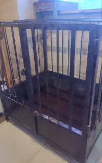 قفس آهنی مناسب پرنده و حیوانات خانگی