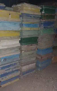 طبق کندو تعداد ۱۰۰ تا